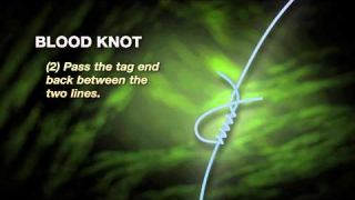 Knot How-To: Blood Knot - for leaders using two lines of similar diameter - SpiderWire