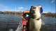 CALIFORNIA Pond Fishing for Monster Northern Strain Bass During Lockdown VIDEO