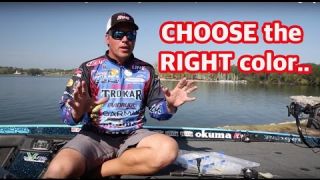 Tackle How-To: Choosing Lure Colors - Right colors for the right situation that help catch bass