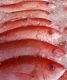 NOAA and States Focus on Red Snapper Enforcement