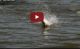 Fishing grass points in emergent vegetation VIDEO