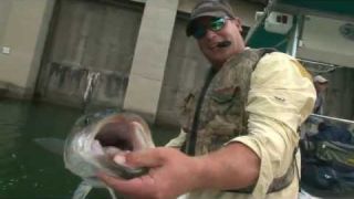 Larry Dahlberg's Mr Whiggley line-thru swimbait