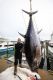Gigantic 700-pound bluefin tuna caught for potential new state record