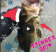 Winter CHUNKY largemouth VIDEO