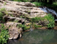 Invasive mudsnails confirmed in Tonto Creek