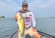 Zack Birge's Topwater Tactics