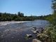 American River stripers