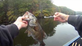 Paul Mueller fishing a Reins Fat Rockvibe Shad for a 6lb smallie