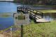 Giant Salvinia Found on Lake Fork