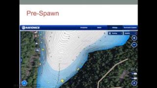 Navionics Webinar: Advanced Drop Shot Fishing with Tyler Brinks