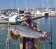 California’s 2022 Ocean Salmon Abundance Forecast