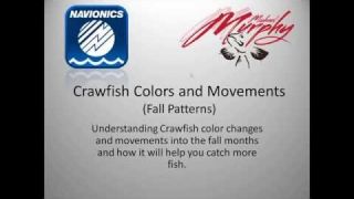 Navionics Webinar: "Crawfish Colors and Movements: Fall Patterns" with Michael Murphy