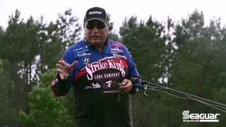 Seaguar How-To: Bait Awareness when Flipping to Increase Your Catch Ratio