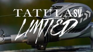 All New Daiwa Tatula SV 103 Limited- One Time Limited Edition Release!