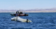 Two people were ejected into Lake Havasu after a boating collision