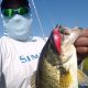 Targeting Cuts to Find Bass All Year