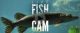 Live Fish Cam