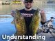 Wondering how smallmouth bass behavior differs from largemouth? VIDEO