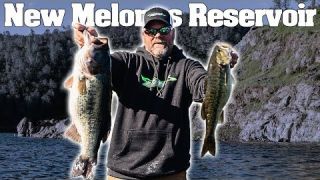 Monster Bass at Melones WWBT