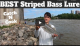 Best Lure For Striped Bass VIDEO