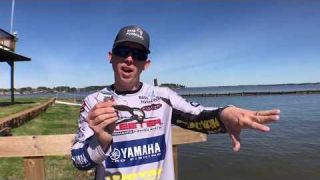 Fishing buzzbaits for big PRE-SPAWN bass VIDEO