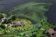 Lake Okeechobee Covered in Vast Algae Bloom