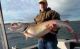 Muskie Estimated at 60 Pounds Caught on St. Lawrence River