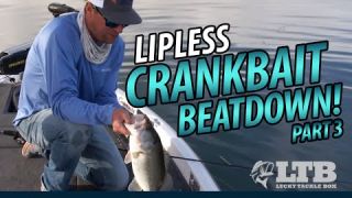 The Lipless Crankbait Beatdown! Part III #LTB