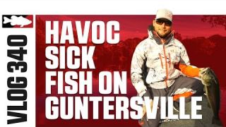 Fishing the Berkley Havoc Sick Fish on Guntersville with Justin Lucas