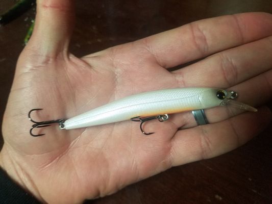 Boned Shad
This white jerkbait works well in all water clarity. It imitates shad and other white colored baitfish and also stands out well in both clear and dirty water.