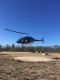 Chinook in the River of No Return