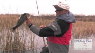 Spinnerbait Tips and Tricks with Bobby Barrack