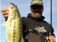 Two Plastics That Berryessa Bass Are Eating Right Now