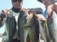 Fishing the Delta | Strong Western Wind and Lure Changes