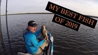 My Top Fish of 2019