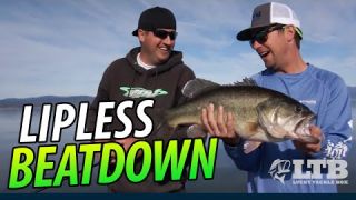 The Lipless Crankbait Beatdown! Part I