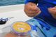 The New Gold Standard in Fluorocarbon