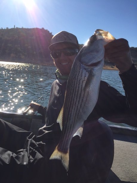 Striper caught on a Cactus Wren Roadrunner swimbait