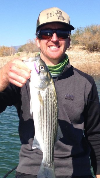 Striper caught on a small profilel rat-l-trap