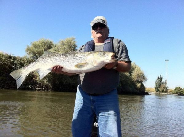 Striper 10/10/2011