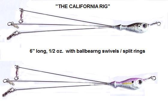 THE CALIFORNIA RIG.jpg