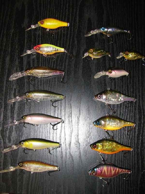 Crankbaits