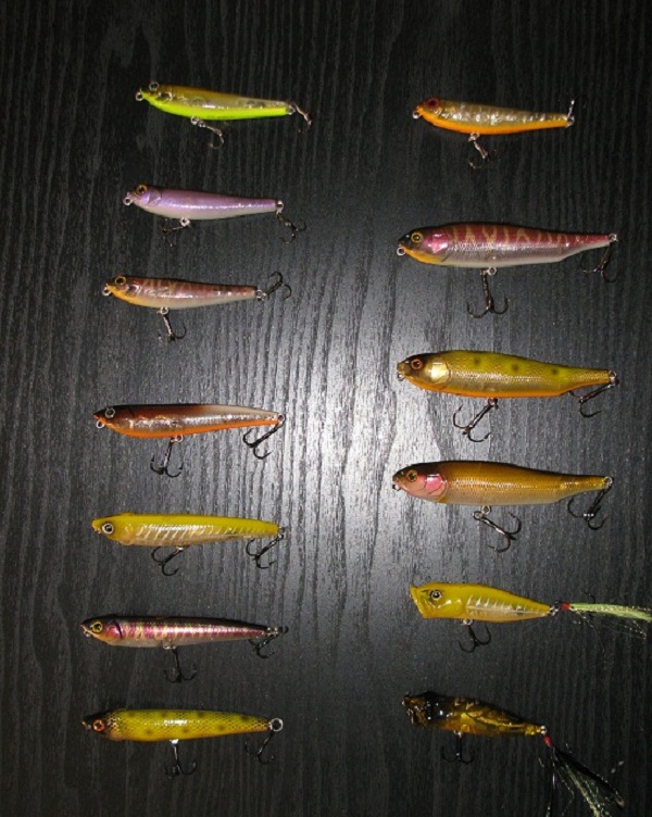 Topwater baits