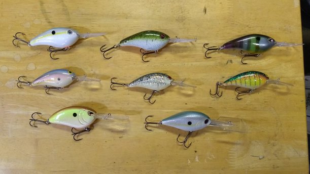 Crankbaits-4.jpg