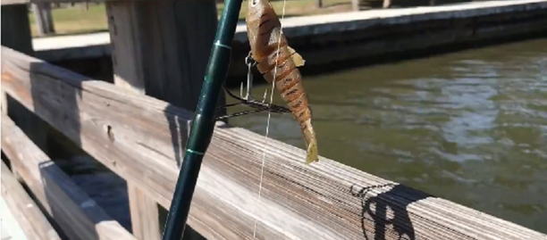 open carry fishing tournament.png