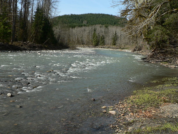 Stillaguamish River South Fork.jpg