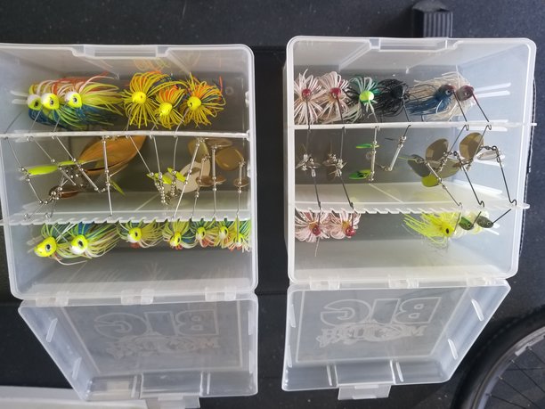 spinnerbaits 24.jpg