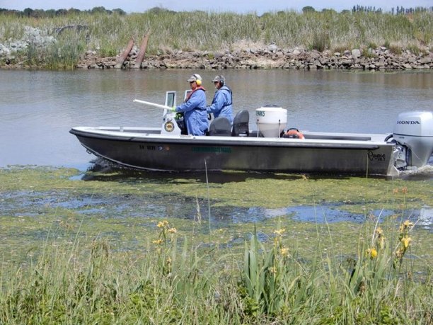 Does anyone know what area the delta pellet boats are launching out of!.jpg