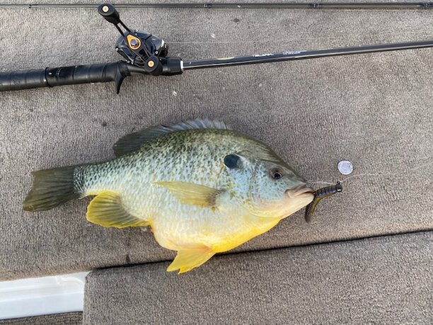 Havasu 2-20 2.86lbs..jpg