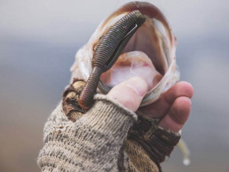 Yamamoto Baits with a stateside debut of the Yamatanuki. - Wildly popular in Japan, the Yamatanuki is widely credited as the bait that started the trend of “heavy” soft plastics.